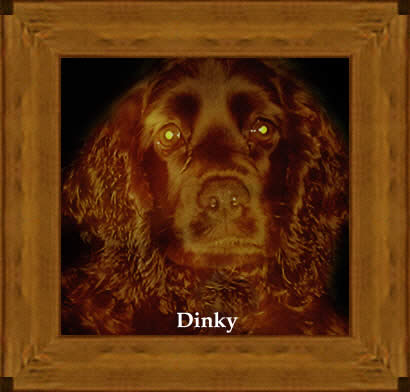 Dinky